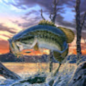 Meet your Posher, Colin